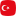 Türkçe